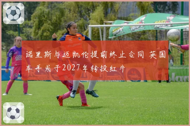 诺里斯与迈凯伦提前终止合同 英国车手或于2027年转投红牛