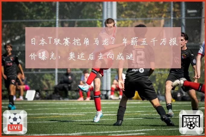 日本T联赛挖角马龙?年薪五千万报价曝光,奥运后去向成谜